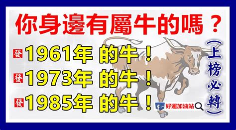 1973 屬牛|【1973牛】揭開1973年牛寶寶的五行之謎！屬牛人生運勢大公開